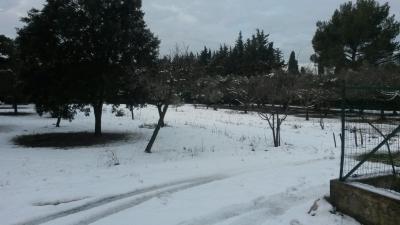 20150204 121056