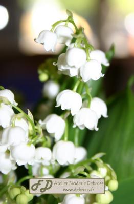 Muguet