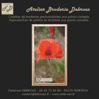 0017 coquelicot