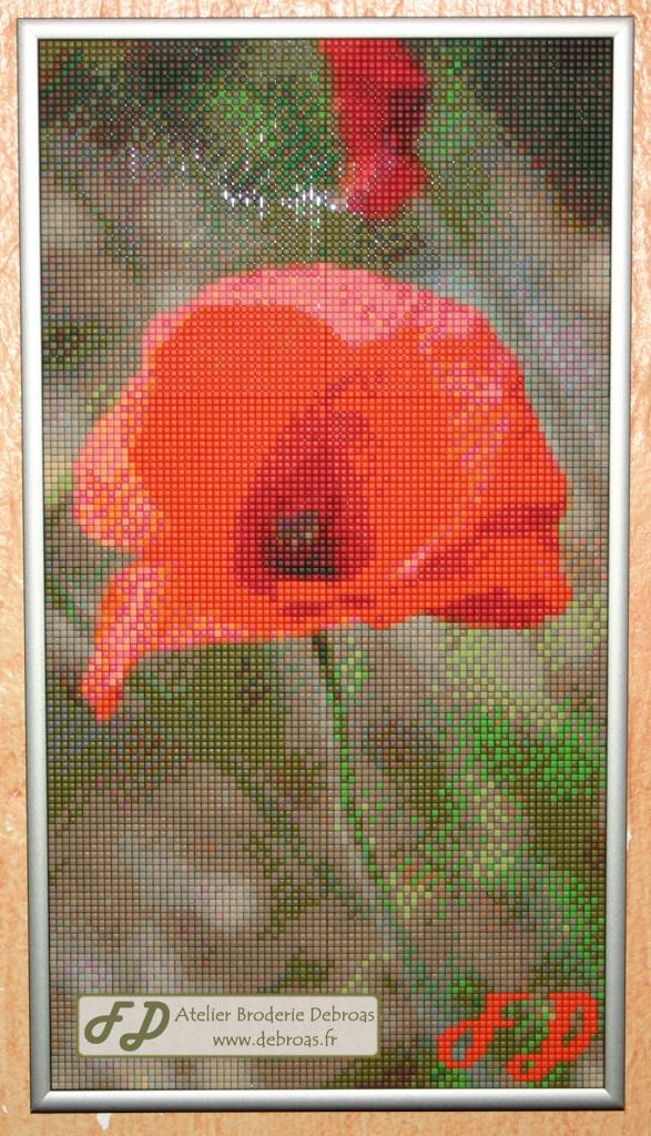 Coquelicot