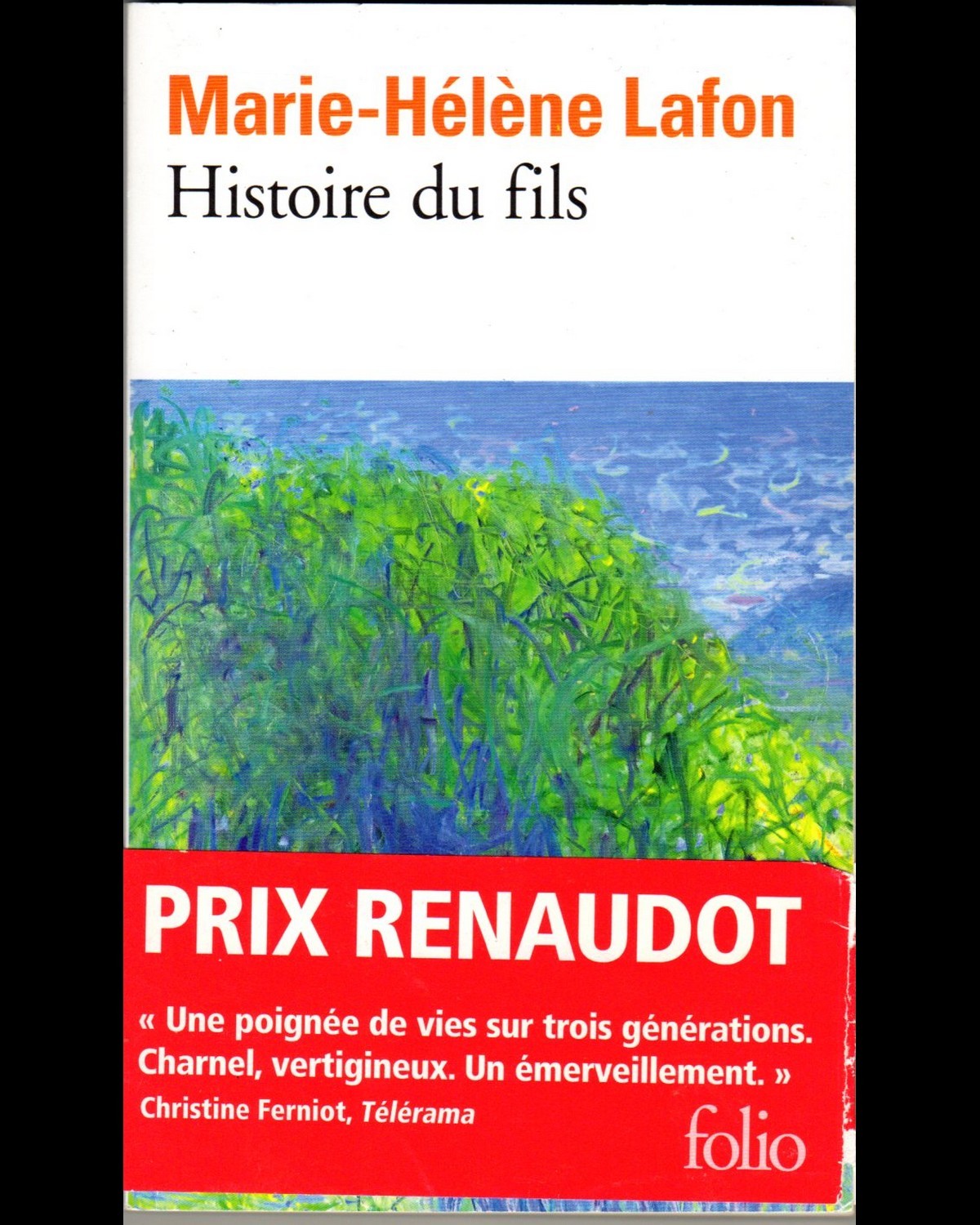 Histoire du fils r