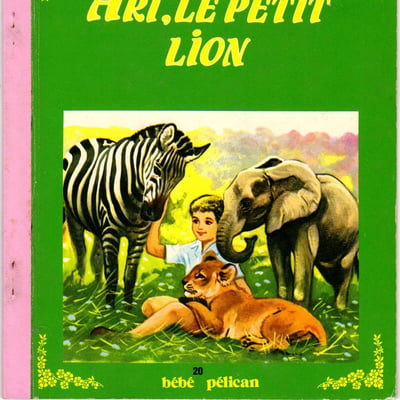 Ari le petit lion r