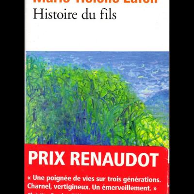 Histoire du fils r