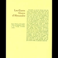 Les gants blancs d alexandre v2