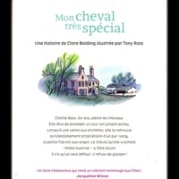 Mon cheval tres special v