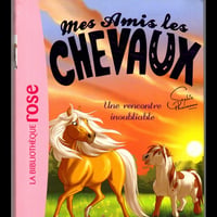 Une rencontre inoubliable r