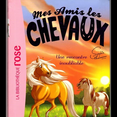 Une rencontre inoubliable r